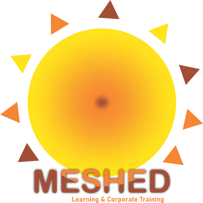MESHED Levels